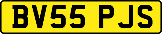 BV55PJS