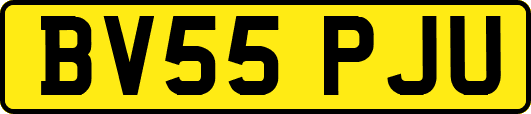 BV55PJU