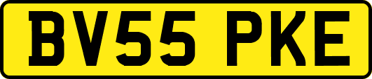 BV55PKE