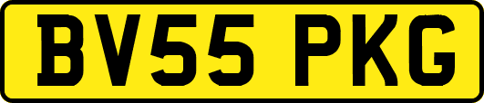 BV55PKG