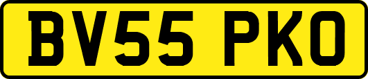 BV55PKO