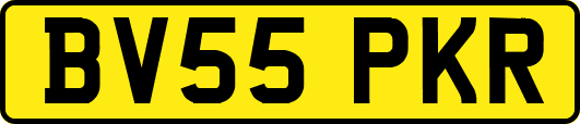 BV55PKR