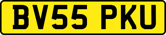 BV55PKU