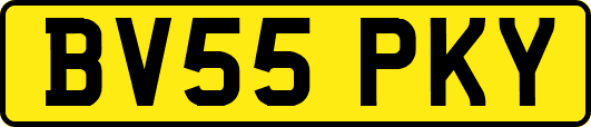 BV55PKY