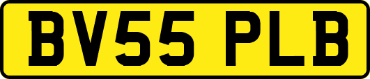 BV55PLB