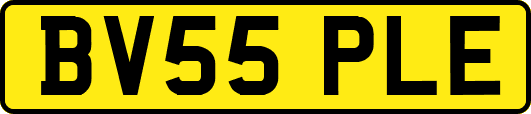 BV55PLE