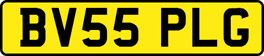 BV55PLG