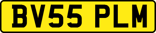 BV55PLM