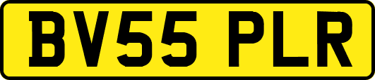 BV55PLR