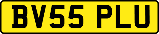 BV55PLU