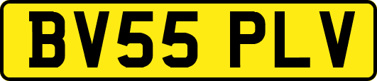 BV55PLV