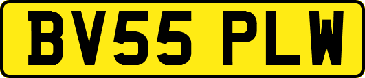 BV55PLW