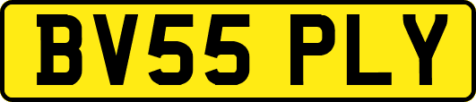 BV55PLY