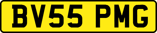 BV55PMG