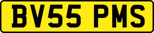 BV55PMS