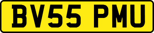 BV55PMU