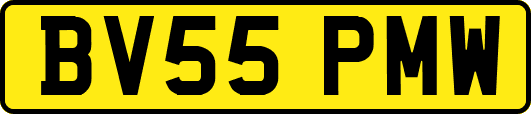 BV55PMW