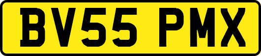 BV55PMX