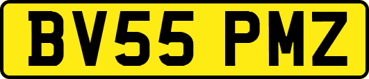 BV55PMZ