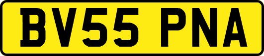 BV55PNA