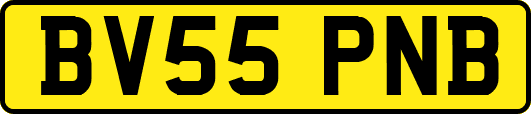 BV55PNB