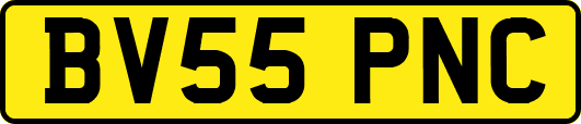 BV55PNC