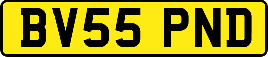 BV55PND