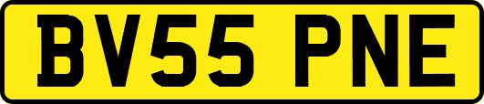 BV55PNE
