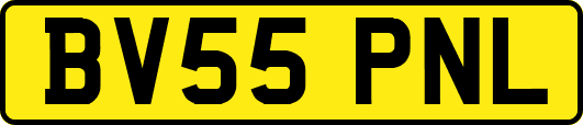 BV55PNL