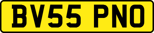 BV55PNO