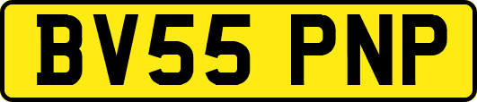BV55PNP