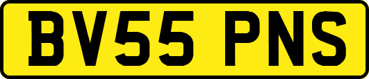 BV55PNS
