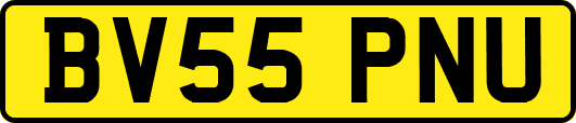 BV55PNU