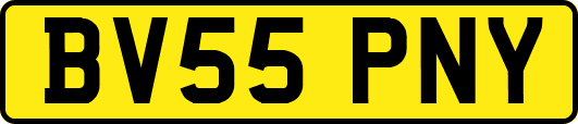 BV55PNY