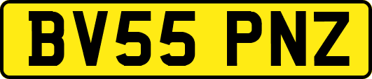 BV55PNZ
