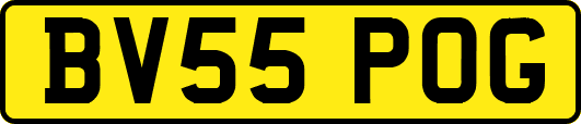 BV55POG