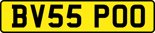 BV55POO