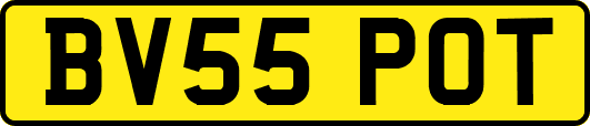 BV55POT