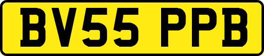 BV55PPB