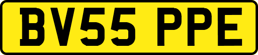 BV55PPE