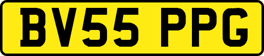 BV55PPG