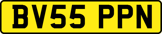 BV55PPN
