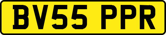 BV55PPR