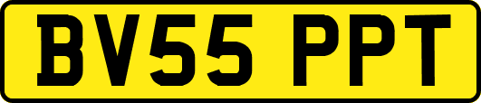 BV55PPT