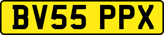 BV55PPX