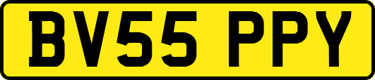 BV55PPY