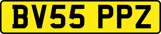 BV55PPZ