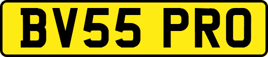 BV55PRO