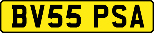 BV55PSA