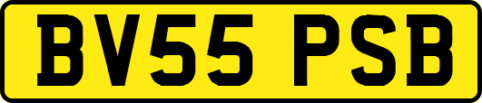 BV55PSB